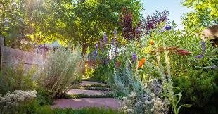 Xeriscape Landscaping